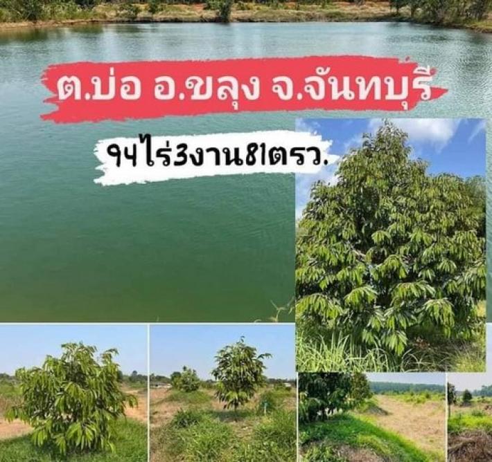 ขายที่ดินพร้อมสวนทุเรียน 94 ไร่ขาย 60 ล้าน อ.ขลุง จ.จันทบุรี