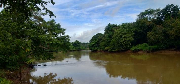 ขายที่ดินติดแม่น้ำแควใหญ่ วิวสวย โซนหนองบัว ลาดหญ้า ใกล้ตัวเมืองกาญจนบุรี