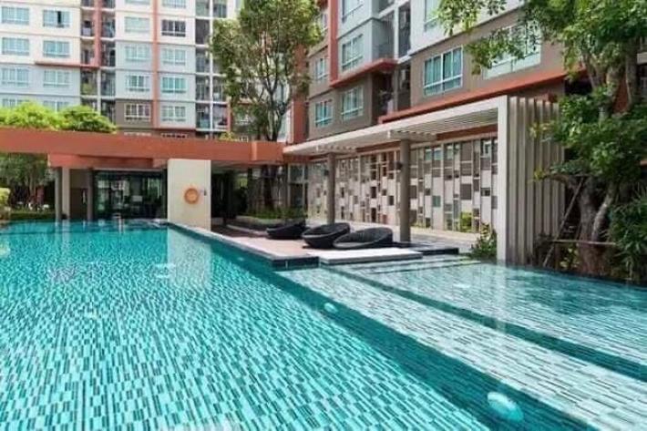 For Rent : D Condo Kathu Patong, 1 Bedroom 1 Bathroom, 8th